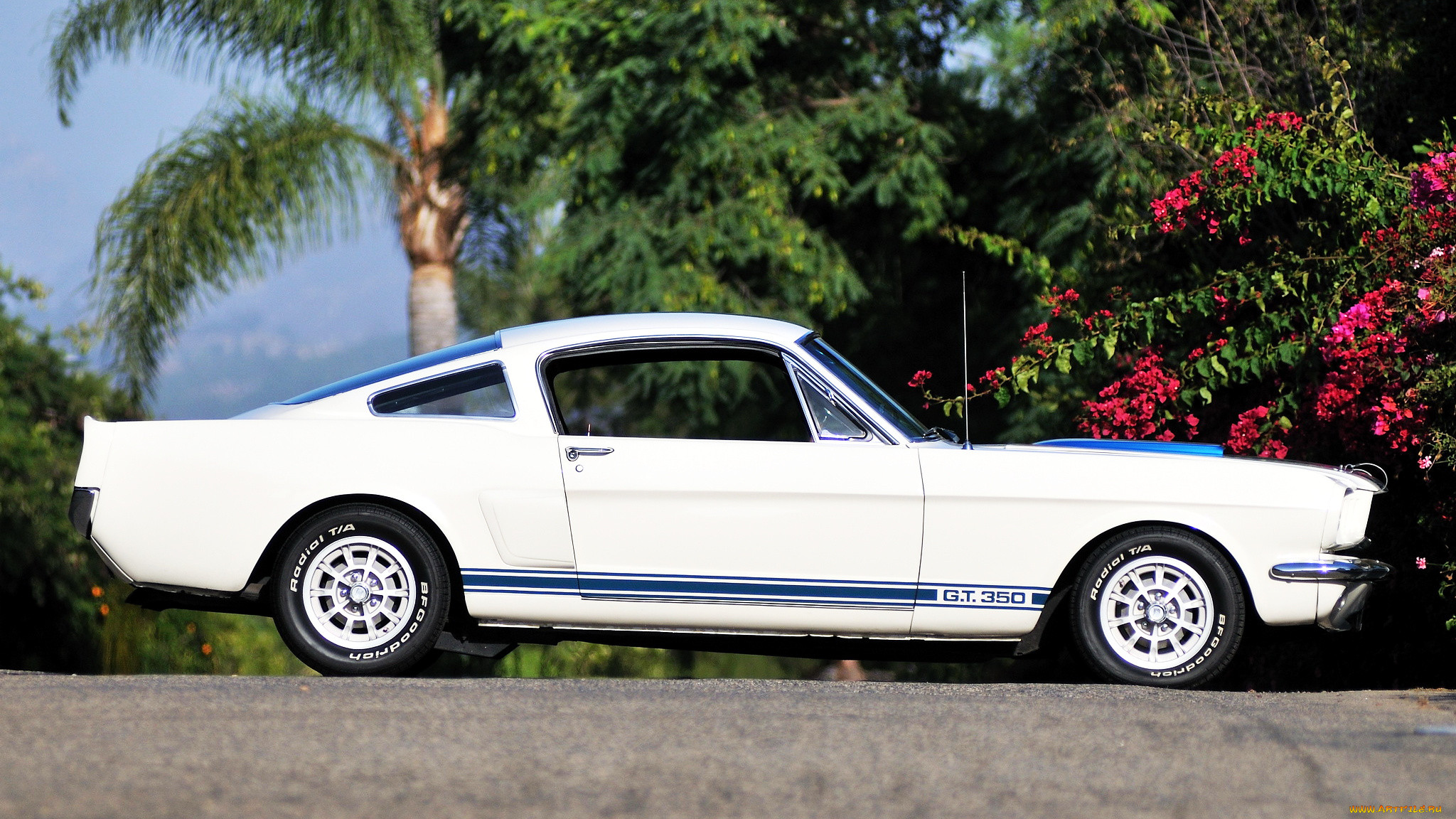 ford, mustang, , , , , motor, company